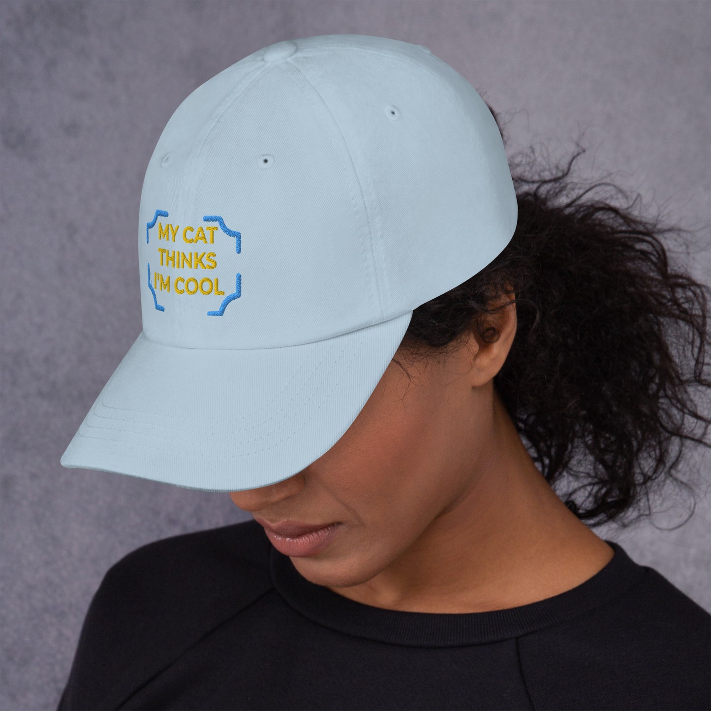 Pet Hat (CAT)